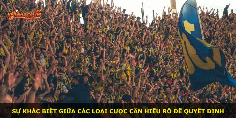 Sự khác biệt giữa các loại cược cần hiểu rõ để quyết định