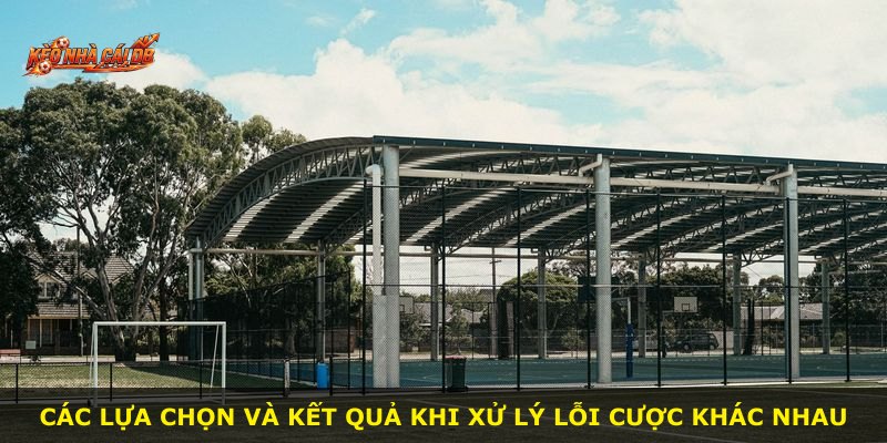 Các lựa chọn và kết quả khi xử lý lỗi cược khác nhau
